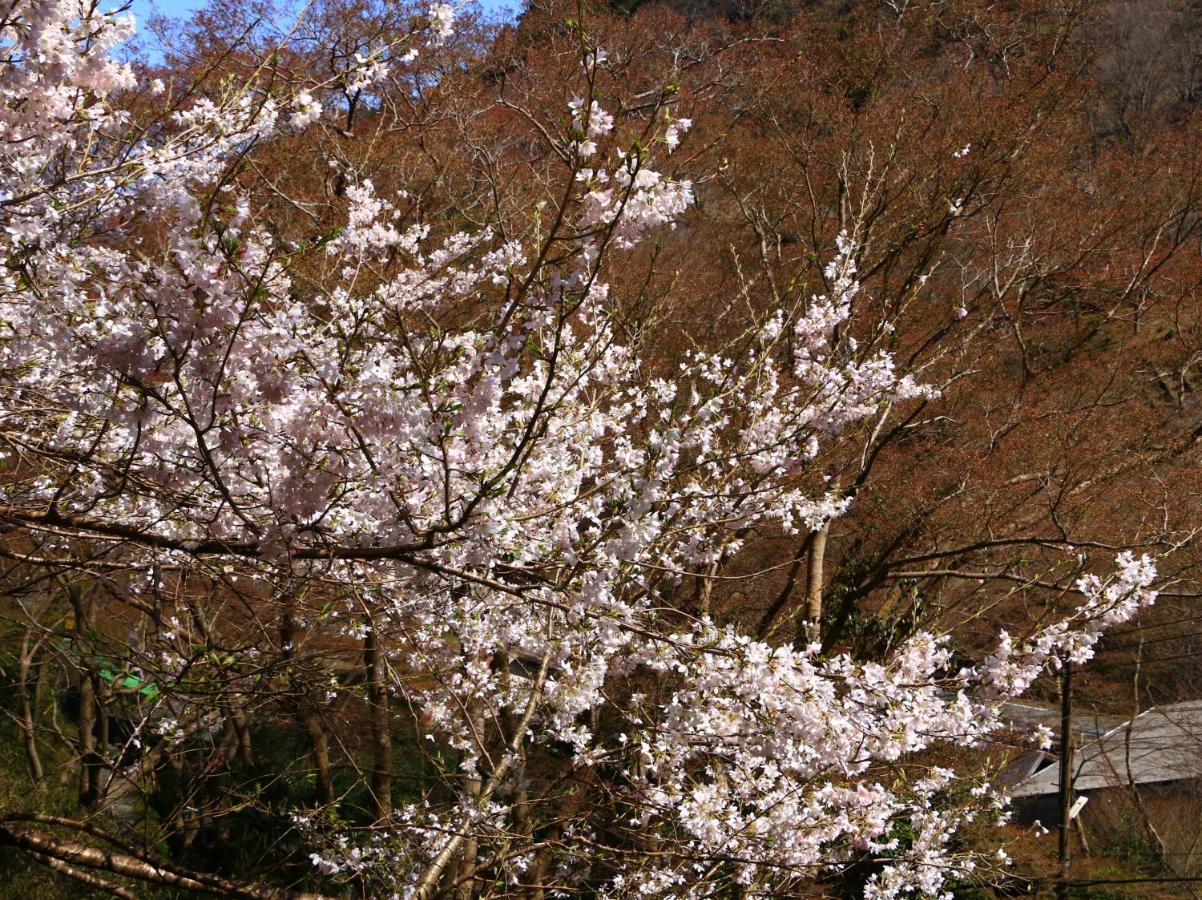 ホテル 美吉野桜庵 吉野町 エクステリア 写真