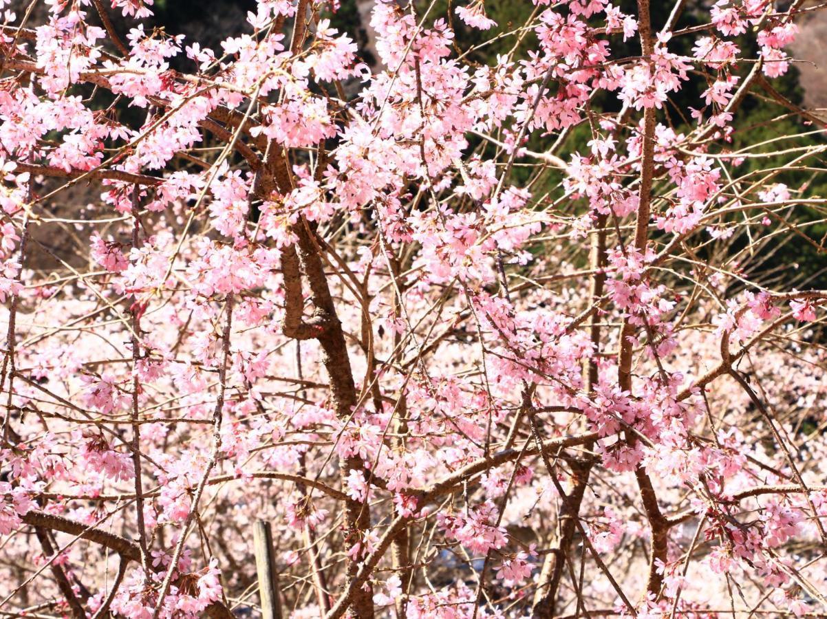 ホテル 美吉野桜庵 吉野町 エクステリア 写真